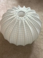 image3.jpeg